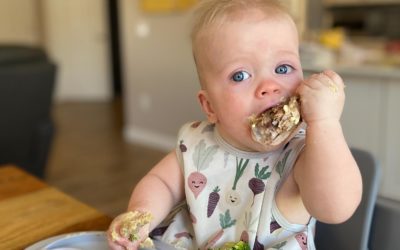 Introducing Meat to Babies